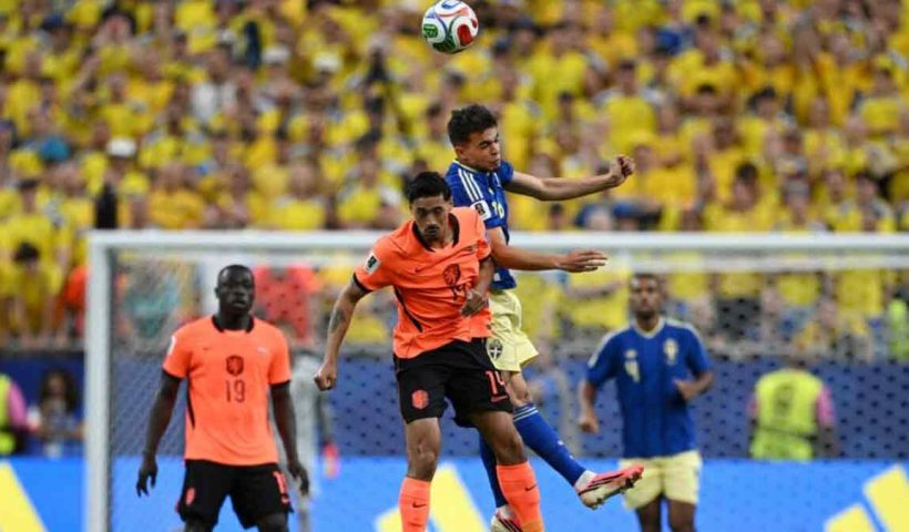 FIFA World Cup: Netherlands Thrash Sweden 5-1 to Storm Top of Group